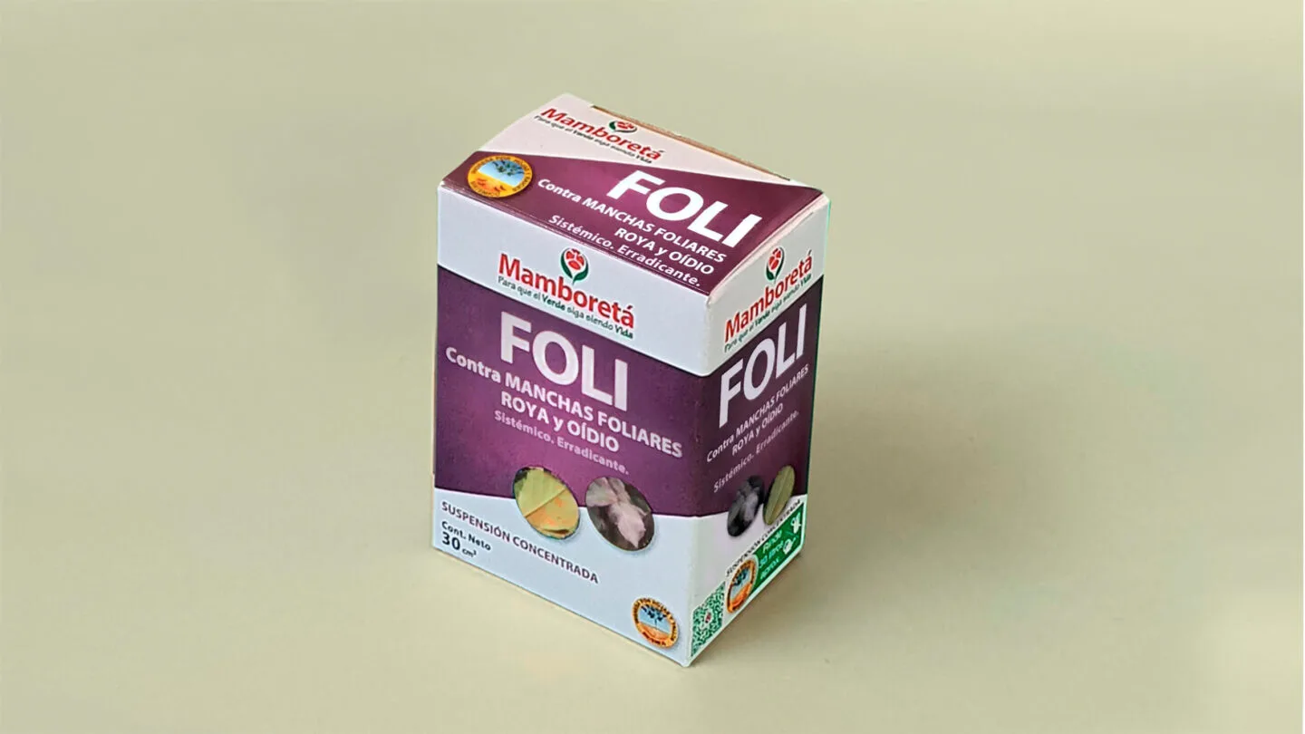 Mamboretá FOLI 9 Mamboreta - Mamboreta FOLI caja 1 scaled scaled