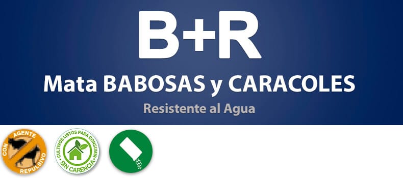 Mamboretá BR - Productos (encabezado)