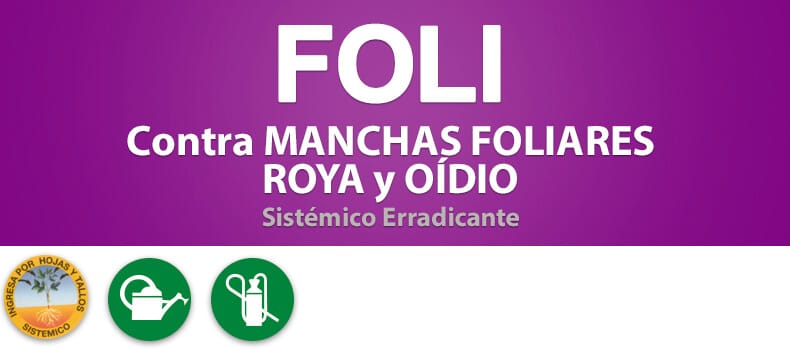 Mamboretá FOLI - Productos (encabezado)