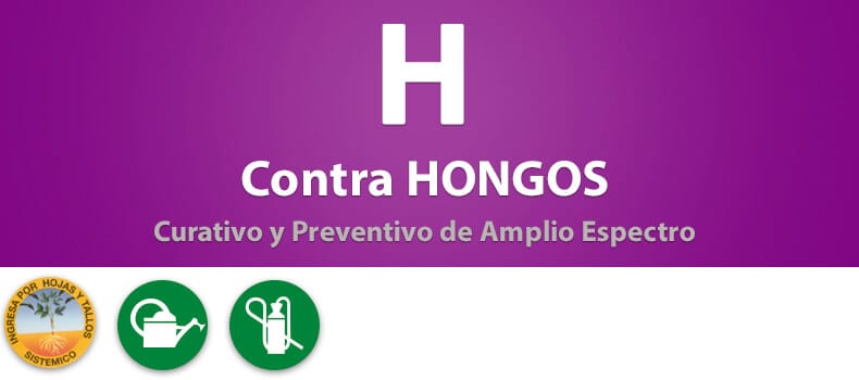 Mamboretá H - Productos (encabezado)