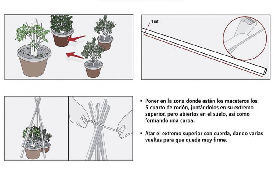 Mamboreta - carpa1 mamboreta