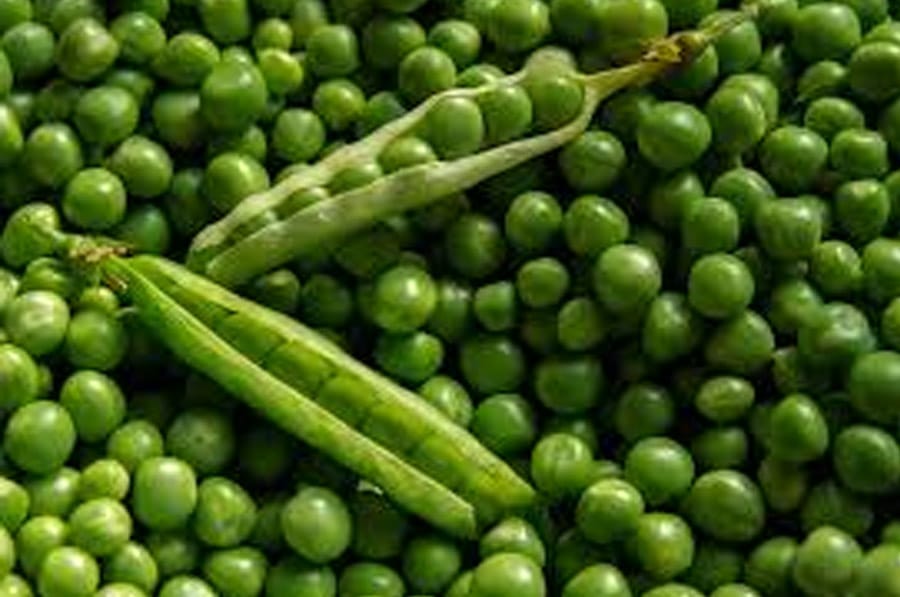 Mamboreta - guisantes