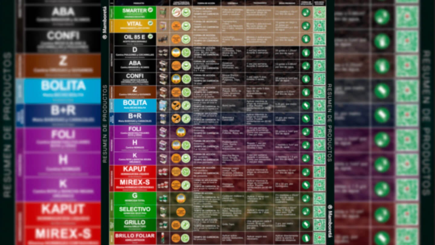 Tabla de productos Mamboretá 5 Mamboreta - portada guia