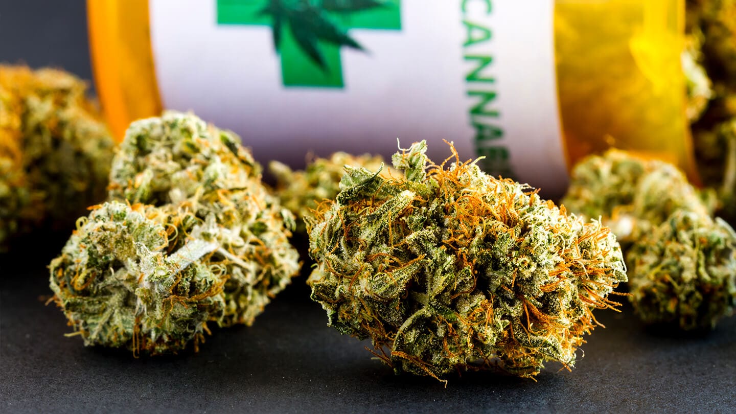 Video: Legalización del cultivo medicinal de cannabis 2 Mamboreta - Portada cannabis medicinal legal 1