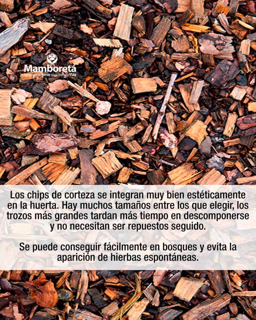 Huerta: ¿Sabés lo que es Mulching? 4 Mamboreta - Mulching 5
