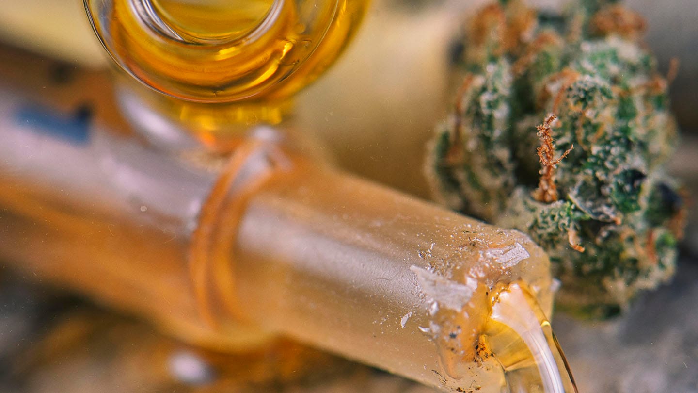 Mamboreta - cannabis reprocann mamboreta que formulario