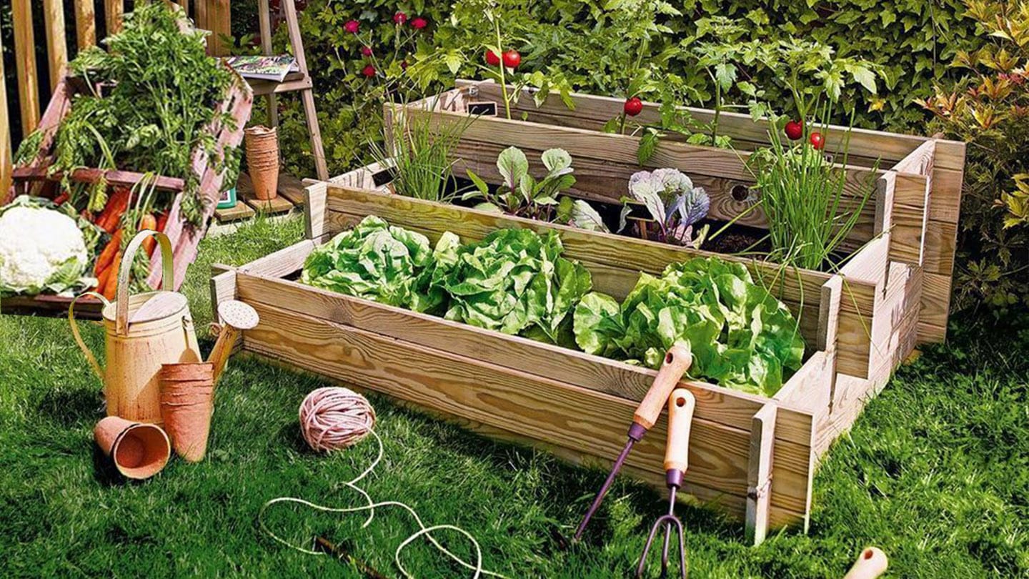 Botiquín imperdible para cuidar tu huerta 4 Mamboreta - Chicharrilla mamboreta C Eduardo nadal