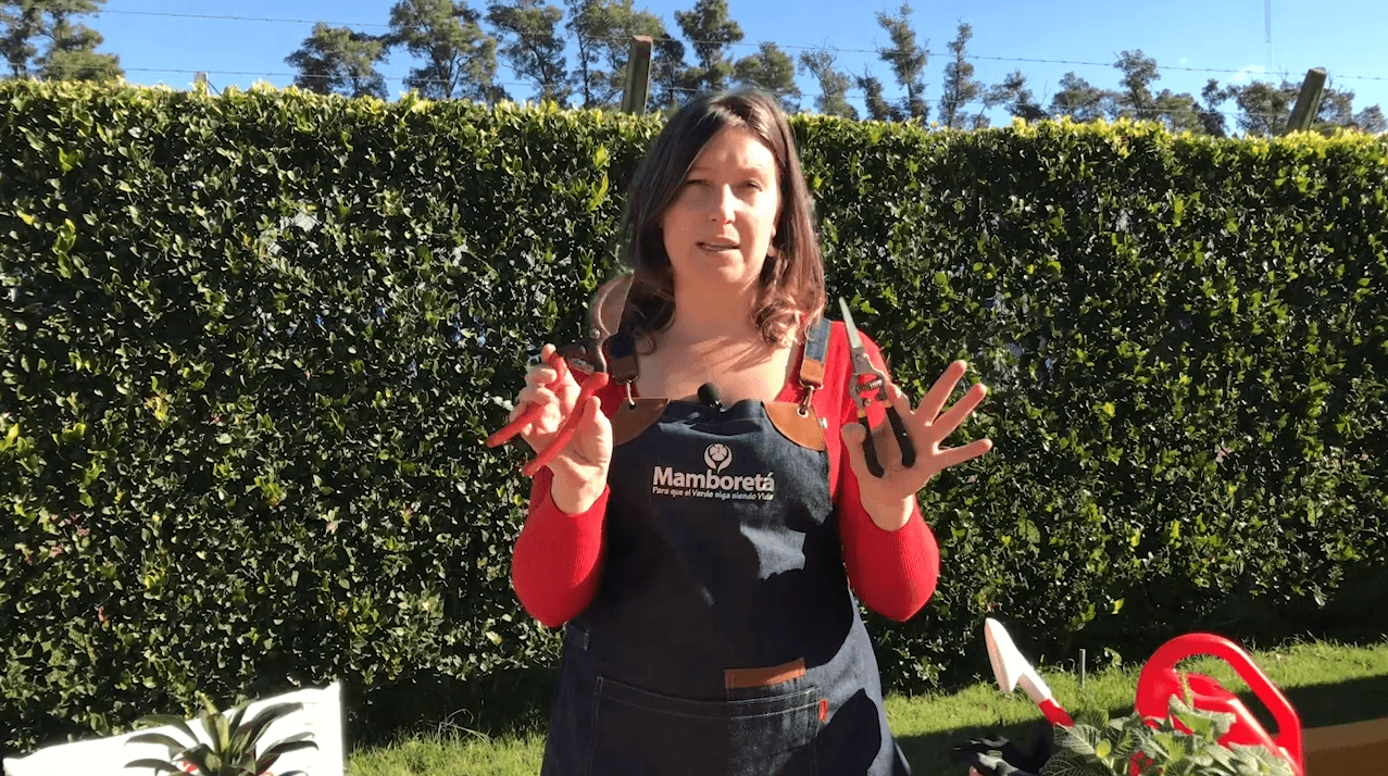 VIDEO | Estas son: herramientas de Jardinería más útiles 2 Mamboreta - Herramientas jardin comunes utiles alejandra bielous mamboreta doscactus