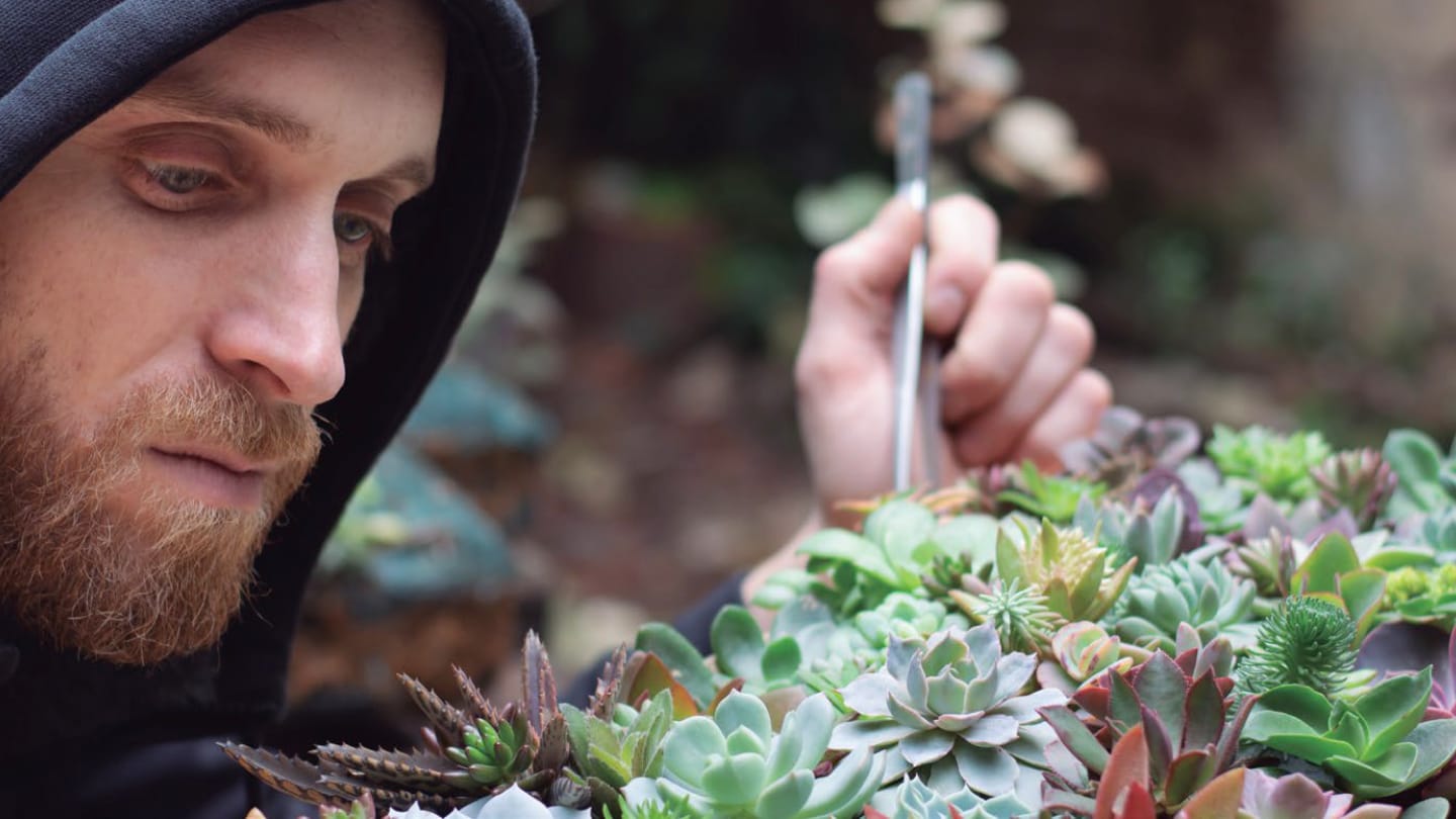 VIDEO | @soymicroscopio nos cuenta cómo combate las cochinillas en sus cactus 5 Mamboreta - ale nemi mamboreta