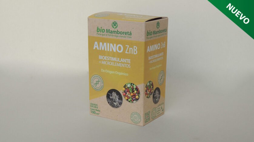 Mamboreta - AMINO mamboreta aminoacidos