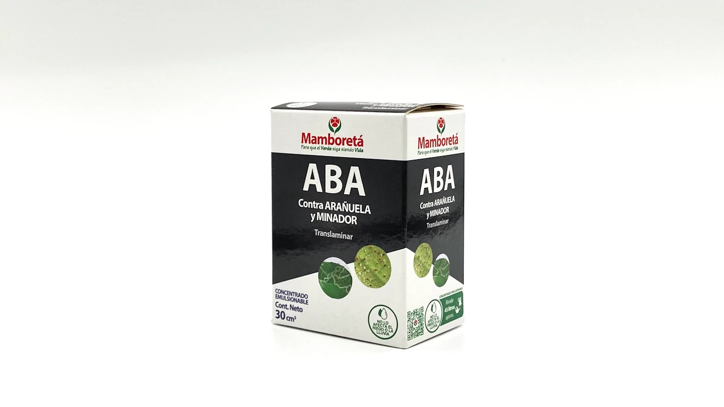 Mamboreta - Mamboreta ABA Envase